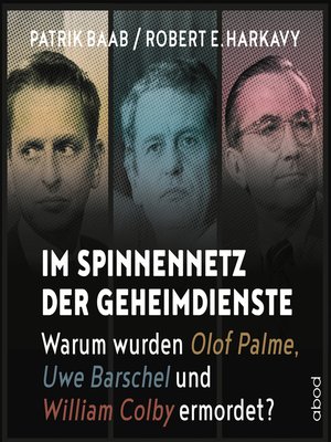 cover image of Im Spinnennetz der Geheimdienste